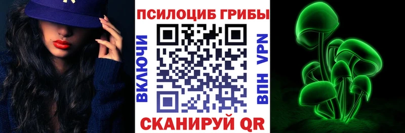 Купить где  Уварово  Псилоцибиновые грибы MAGIC MUSHROOMS 